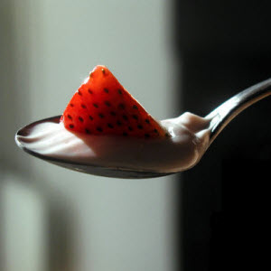 Lot Fat Yoghurt